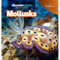 Mollusks - Library Binding