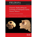 Domestic Multicrafting for Exchange at Prehispanic Ejutla, Oaxaca, Mexico - Paperback