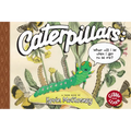 Caterpillars: What Will I Be When I Get to Be Me?: Toon Level 1 - Hardcover