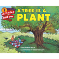 A Tree Is a Plant - Paperback