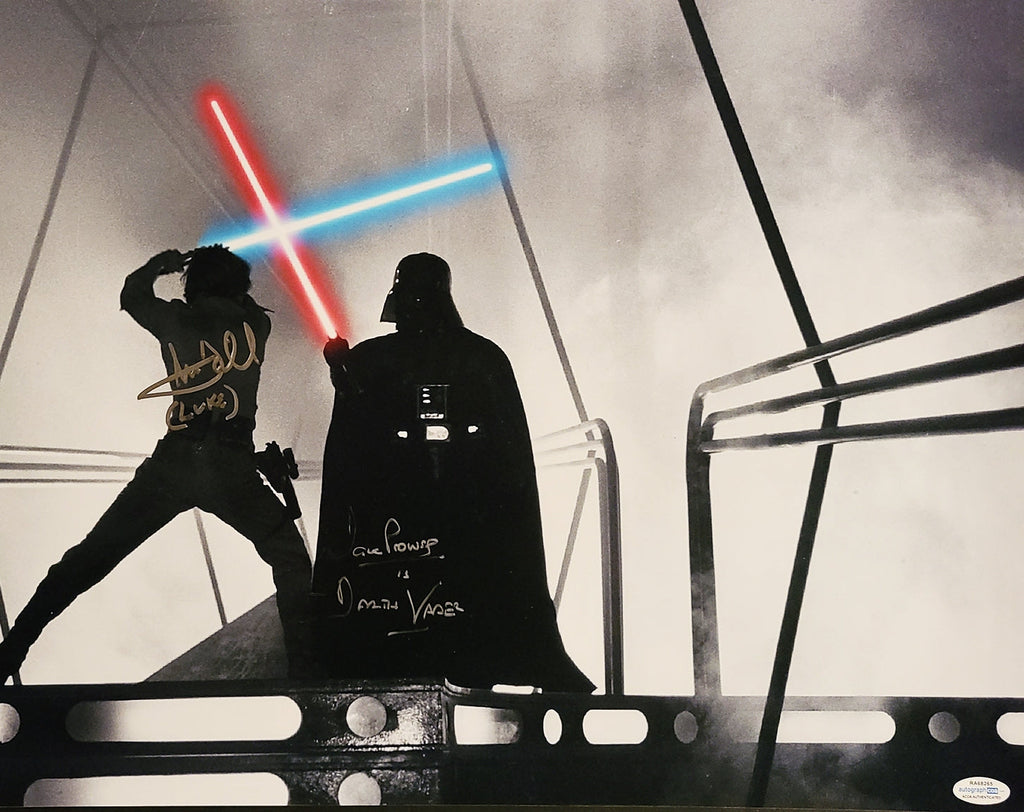 Mark Hamill & Dave Prowse Signed Framed 16x20 Star Wars Photo Exact Proof