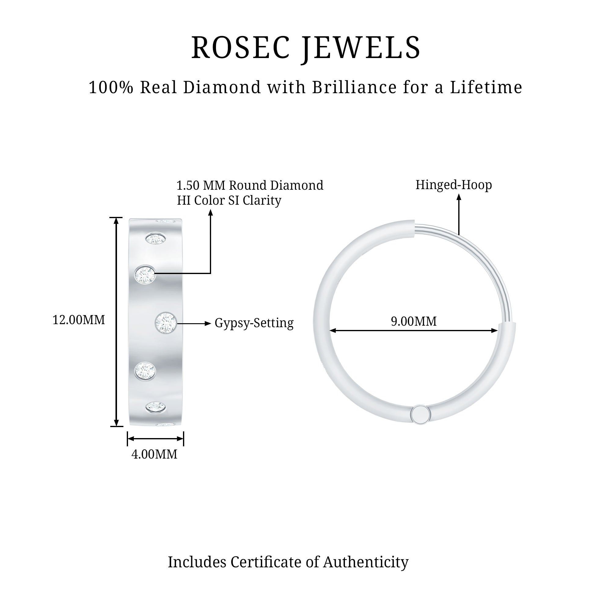 Flush Set Diamond Hoop Earrings For Women