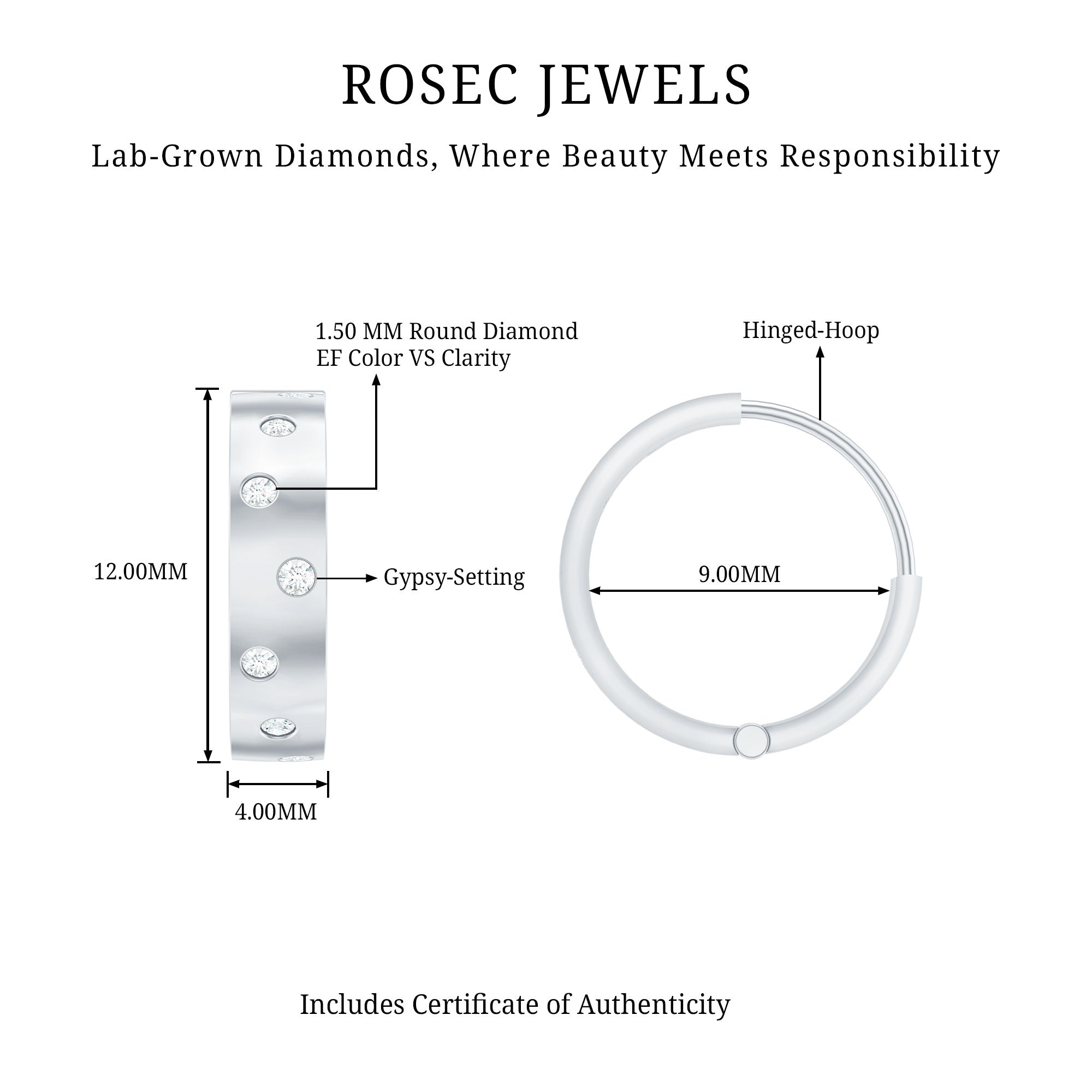 Flush Set Diamond Hoop Earrings For Women
