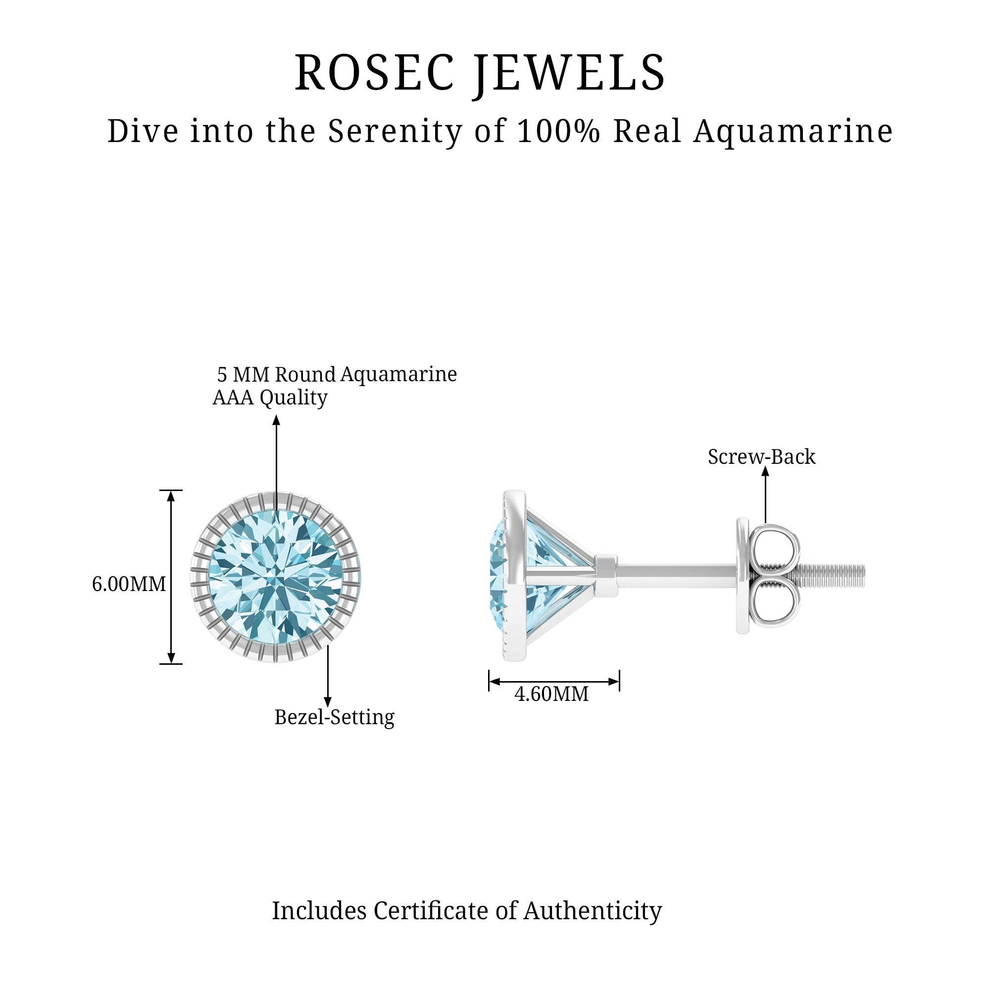 1.6 Carat Round Cut Aquamarine Martini Stud Earring