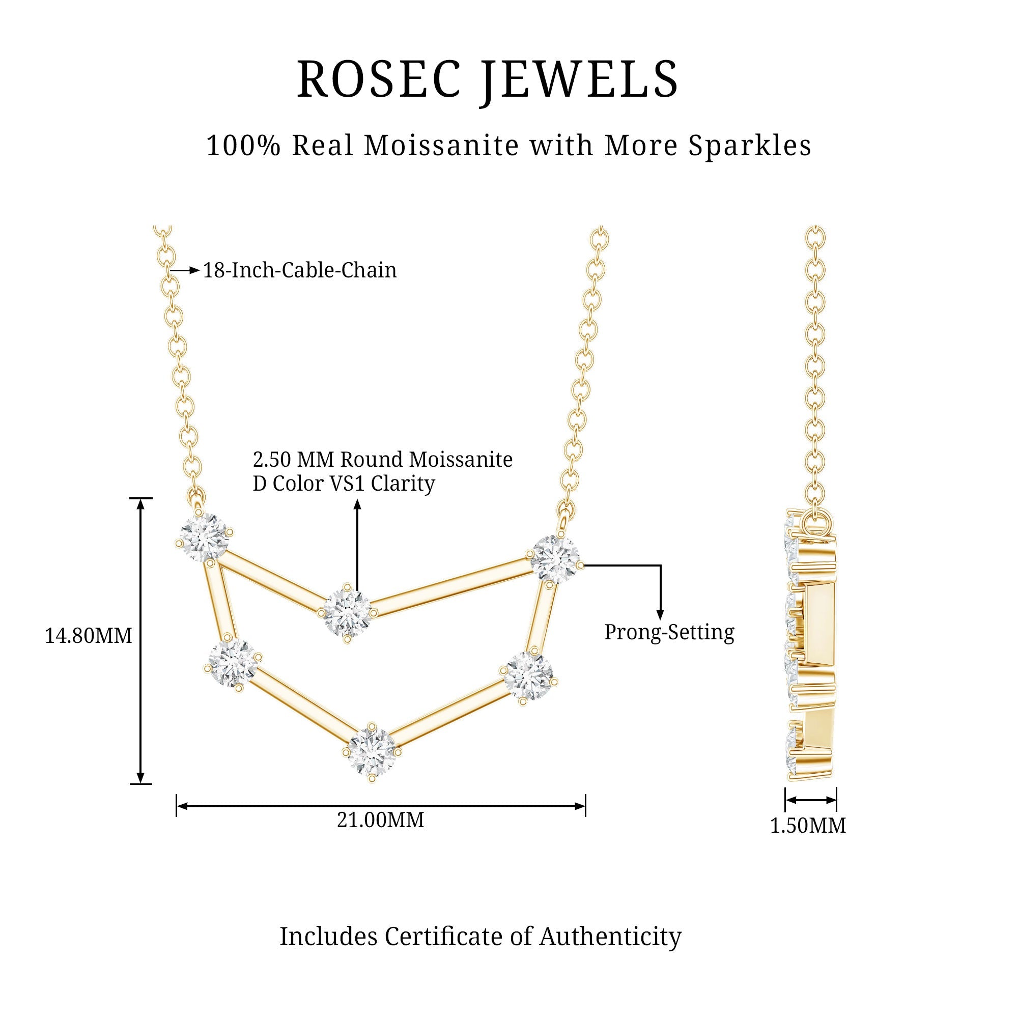 Certified Moissanite Capricorn Constellation Necklace