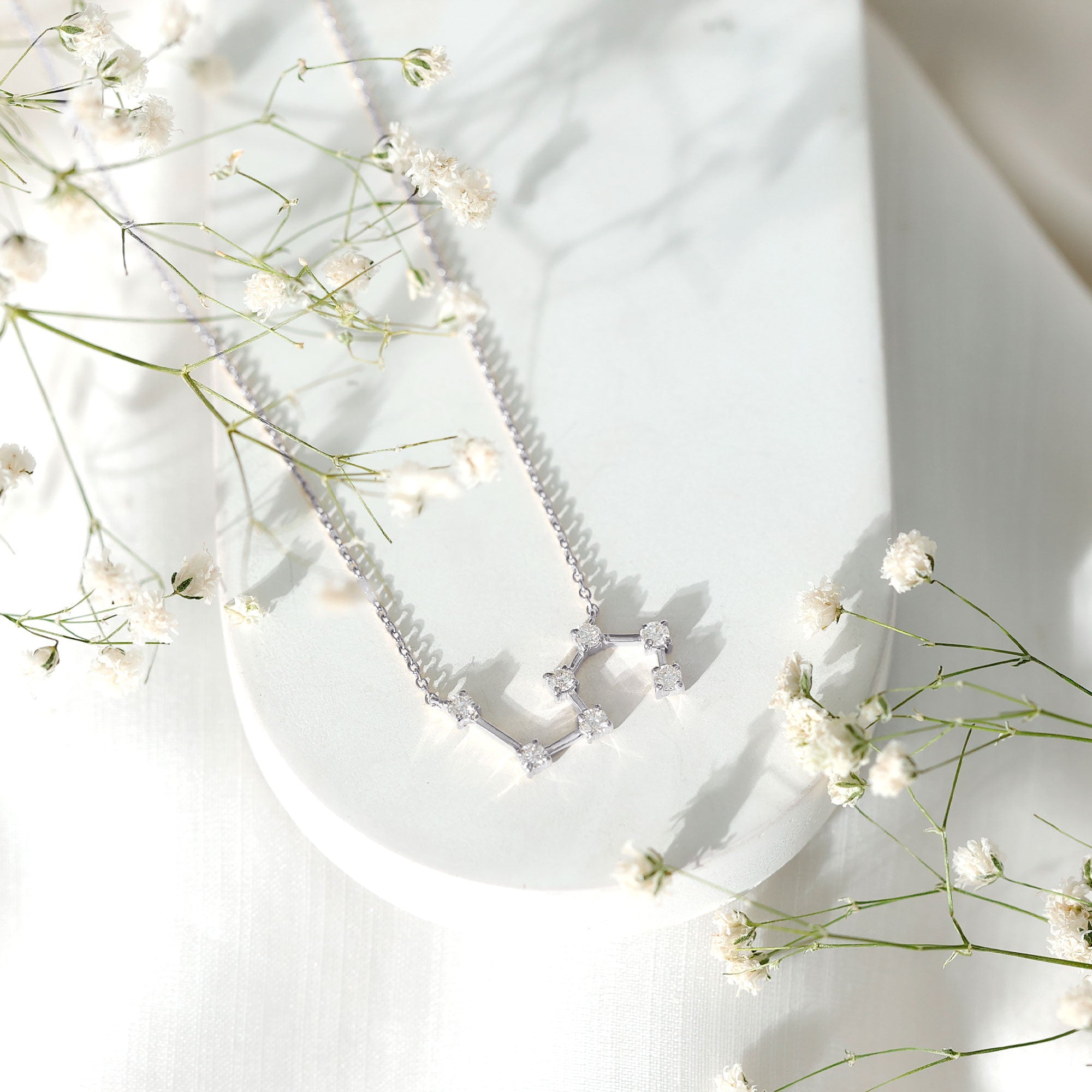 Moissanite Constellation Leo Zodiac Sign Necklace