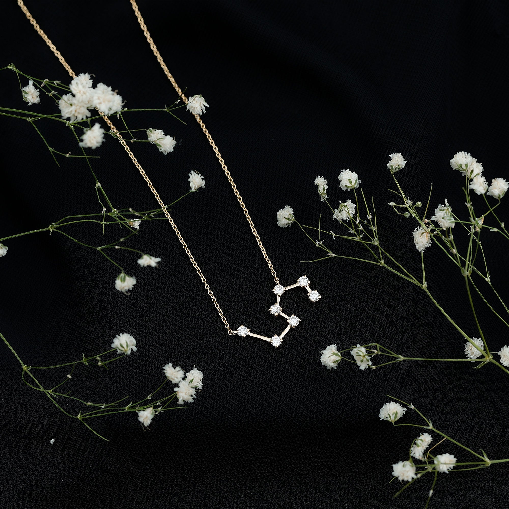 Moissanite Constellation Leo Zodiac Sign Necklace