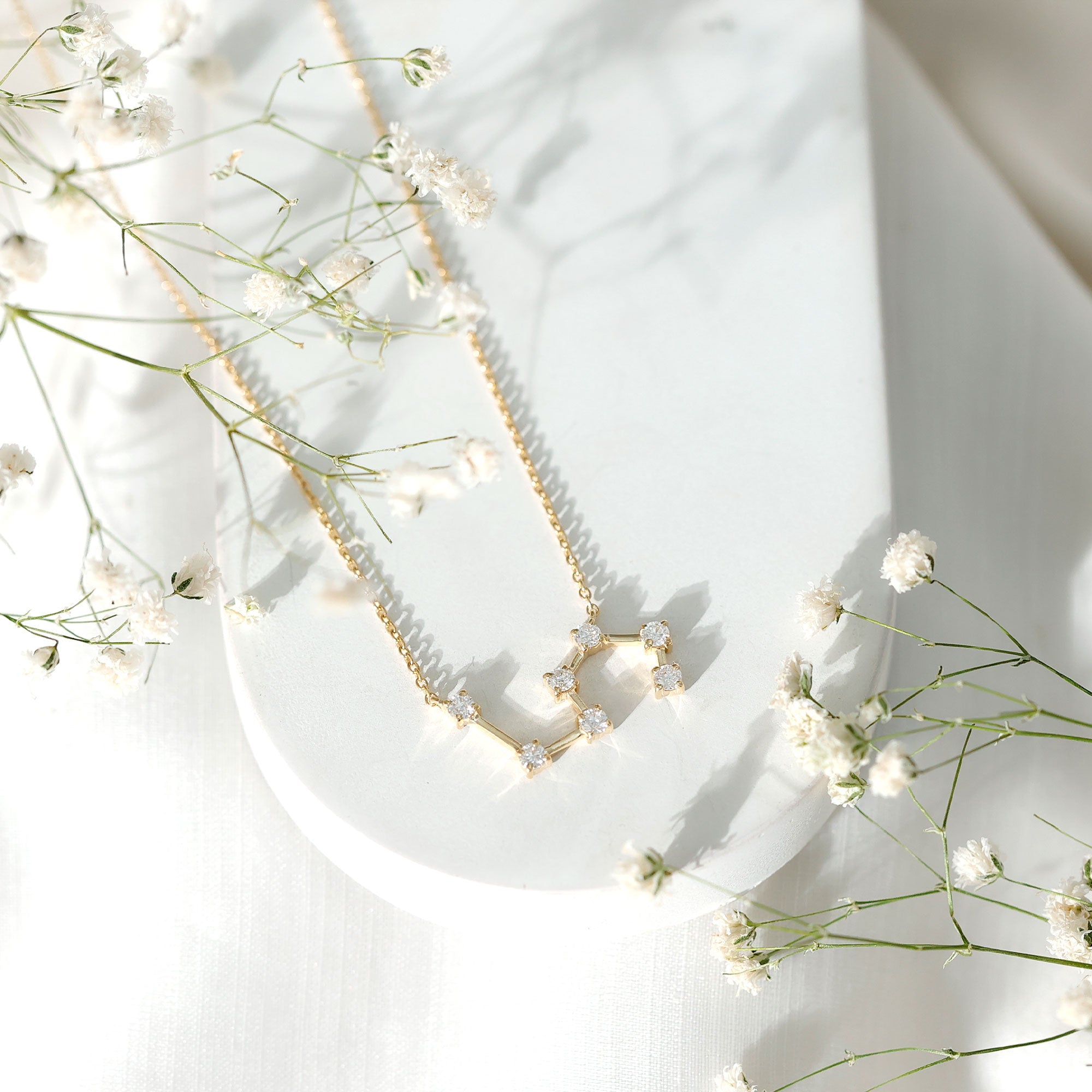 Moissanite Constellation Leo Zodiac Sign Necklace