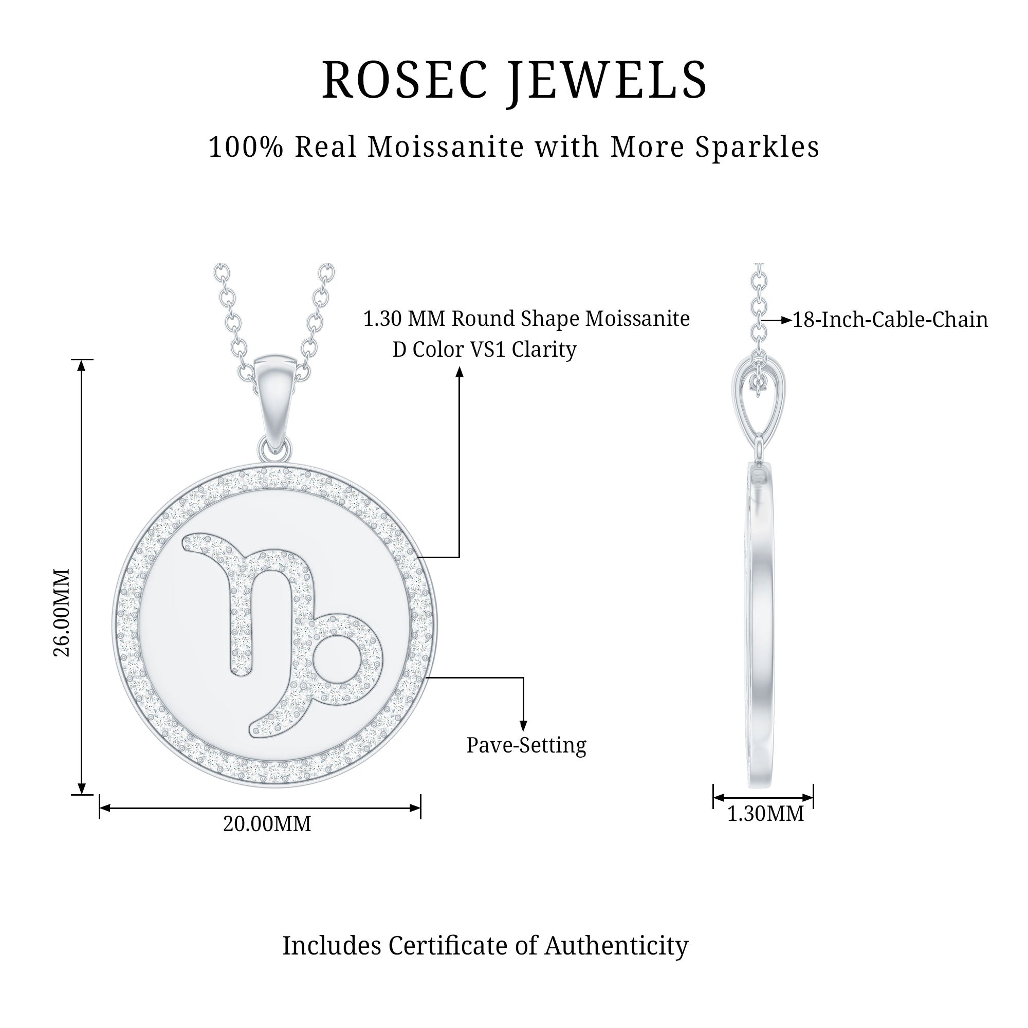 Certified Moissanite Disc Capricorn Zodiac Pendant