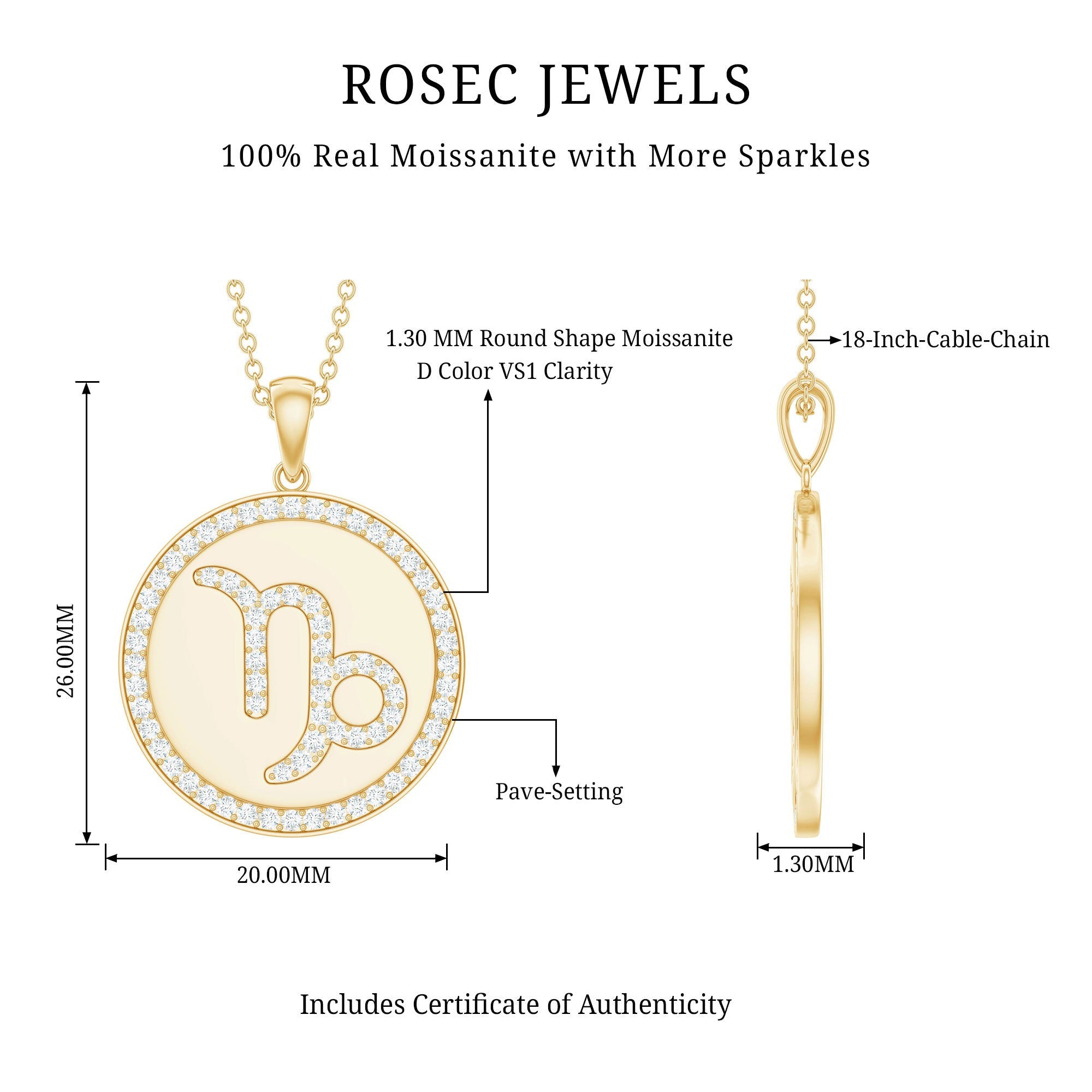 Certified Moissanite Disc Capricorn Zodiac Pendant