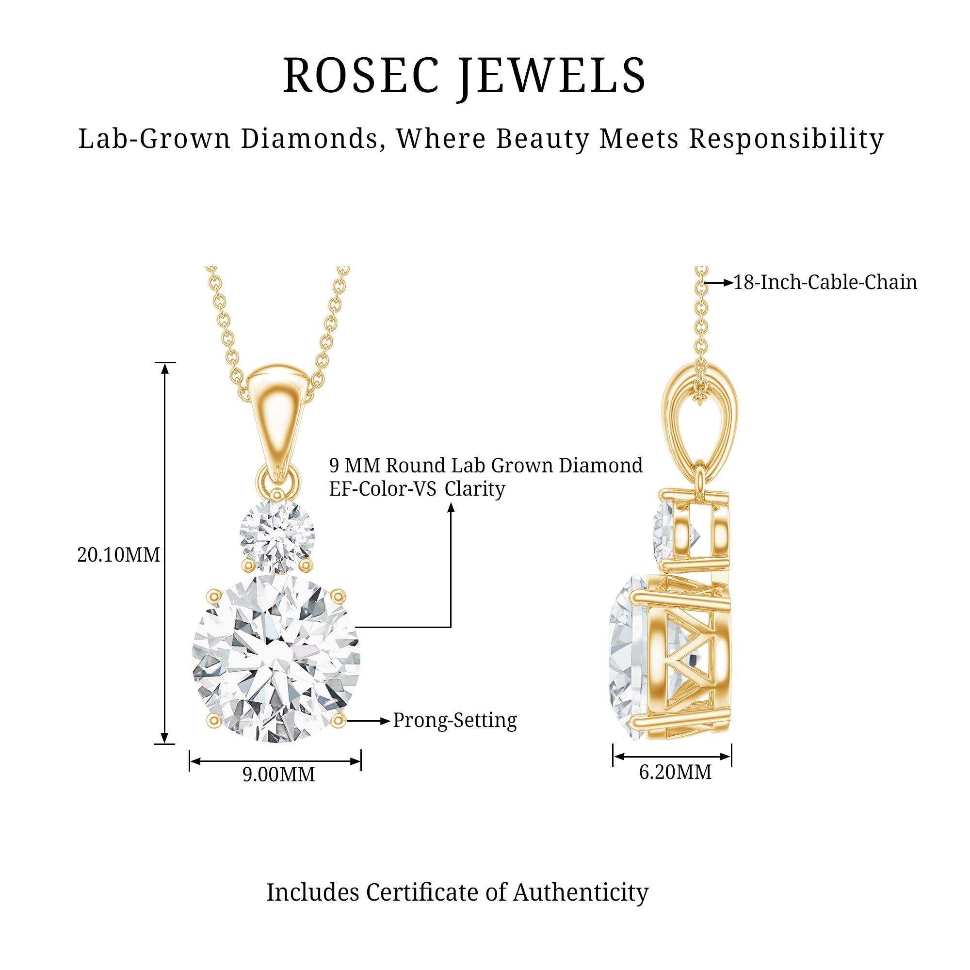 Brilliant Cut Moissanite Two Stone Necklace With Chain