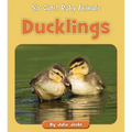 Ducklings - Paperback
