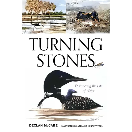 Turning Stones: Discovering the Life of Water - Paperback