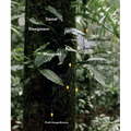 Daniel Steegmann Mangrané: A Leaf-Shaped Animal Draws the Hand - Paperback