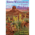 Spring Wildflowers of Utah's Red Rock Desert - Paperback