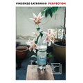 Perfection - Paperback