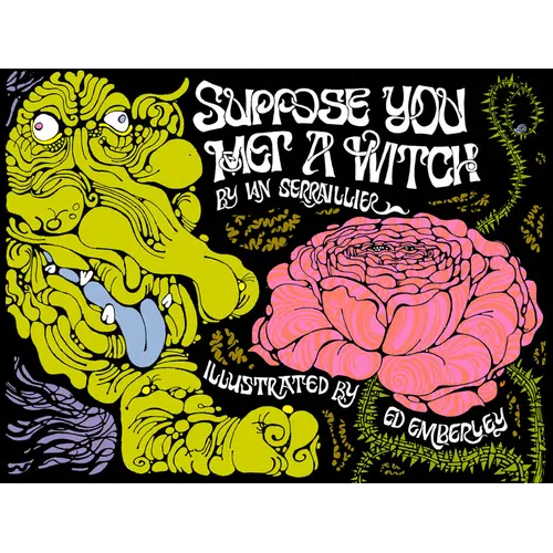 Suppose You Met a Witch - Hardcover