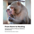 From Harm to Healing: Sanctuary Stories of Rescue, Resilience, and Recovery - Hardcover