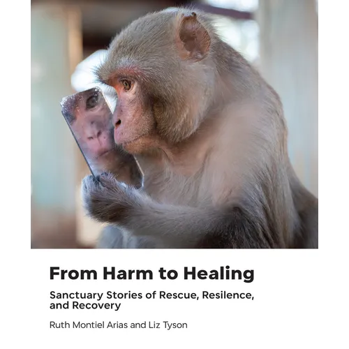 From Harm to Healing: Sanctuary Stories of Rescue, Resilience, and Recovery - Hardcover
