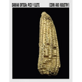 Damián Ortega: Corn and Industry - Paperback