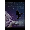 Why Storms are Named After People and Bullets Remain Nameless - Paperback