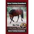 Horse Training Groundwork, Horse Training, Groundwork & Care By SaddleUP Horse Training, Are You Ready to Saddle Up? Easy Training * Fast Results, Hor - Paperback