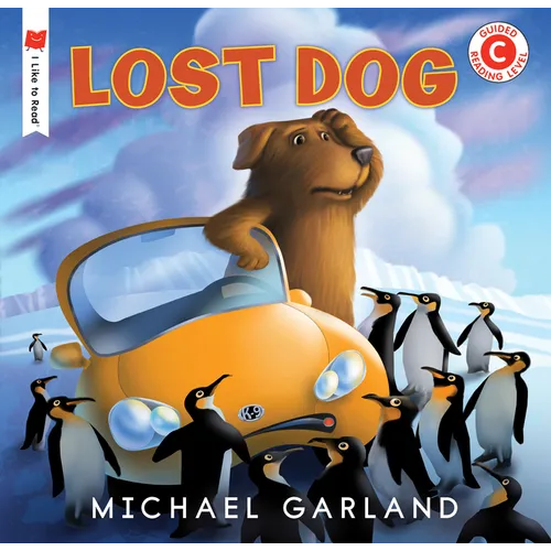 Lost Dog - Paperback