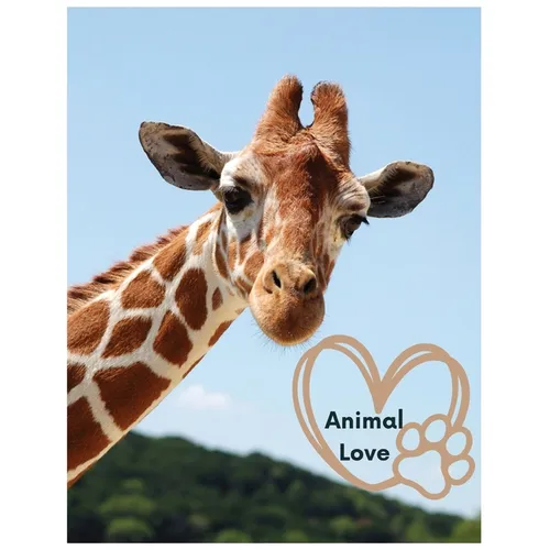 Animal Love: A picture book for Seniors with dementia or Alzheimer's patients. Cute photos of animals with uplifting quotes in large print. - Paperback