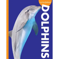 Curious about Dolphins - Paperback