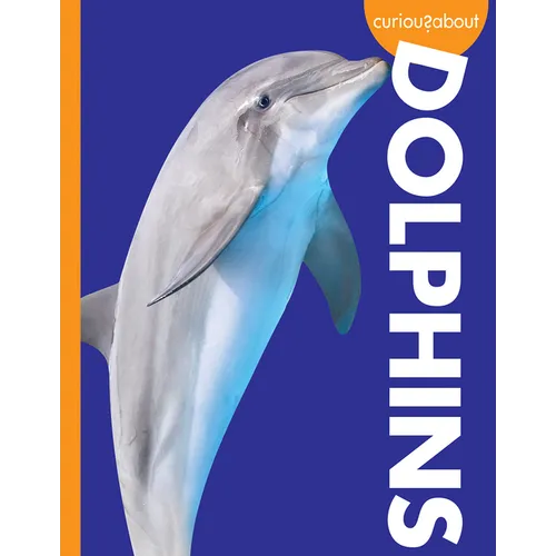 Curious about Dolphins - Paperback