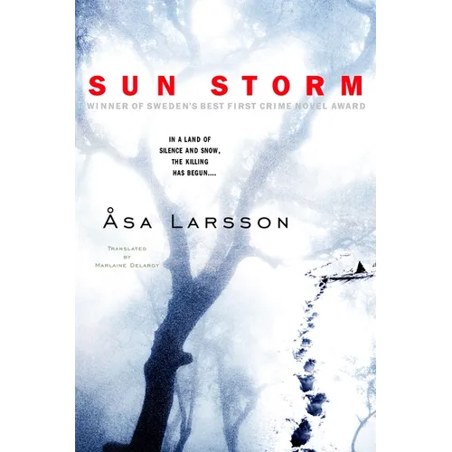 Sun Storm - Paperback