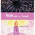 Big and Small Sounds - Hardcover