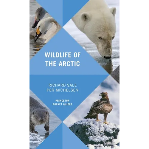 Wildlife of the Arctic - Paperback
