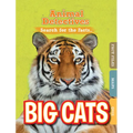 Big Cats - Paperback