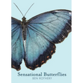 Sensational Butterflies - Hardcover