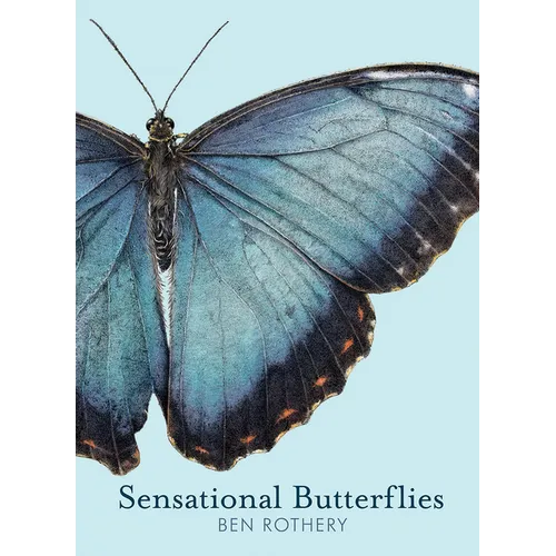 Sensational Butterflies - Hardcover