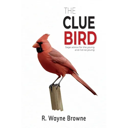 The Clue Bird - Paperback