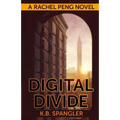 Digital Divide - Paperback