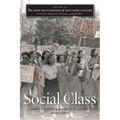 The New Encyclopedia of Southern Culture: Volume 20: Social Class - Paperback