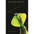 What Good Are Bugs?: Insects in the Web of Life - Paperback