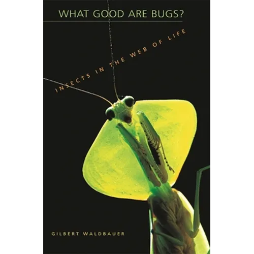 What Good Are Bugs?: Insects in the Web of Life - Paperback