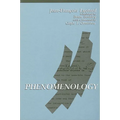 Phenomenology - Paperback