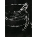 my lungs are a divebar - Paperback