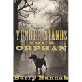 Yonder Stands Your Orphan - Paperback