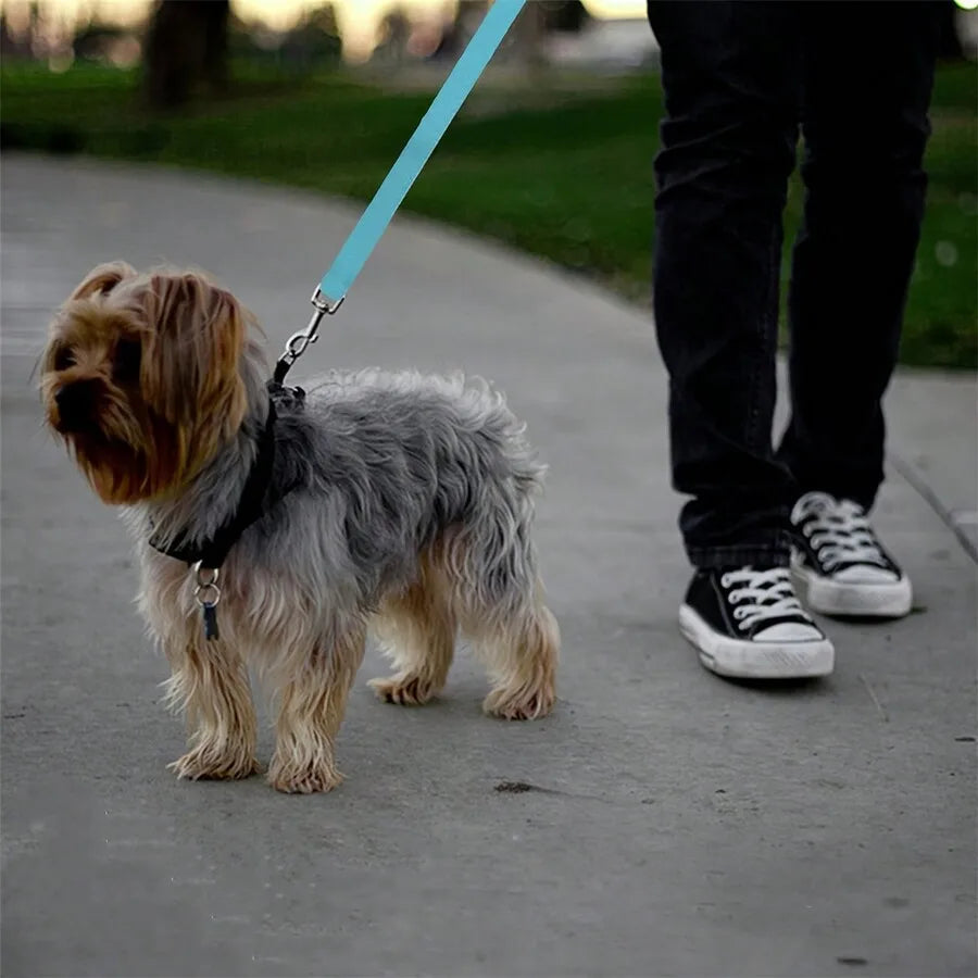 Pet Car Belt For Dogs And Cats Retractable Backseat Leash