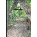 Off The Beaten Path: 4 year Blood Glucose Tracker - Paperback