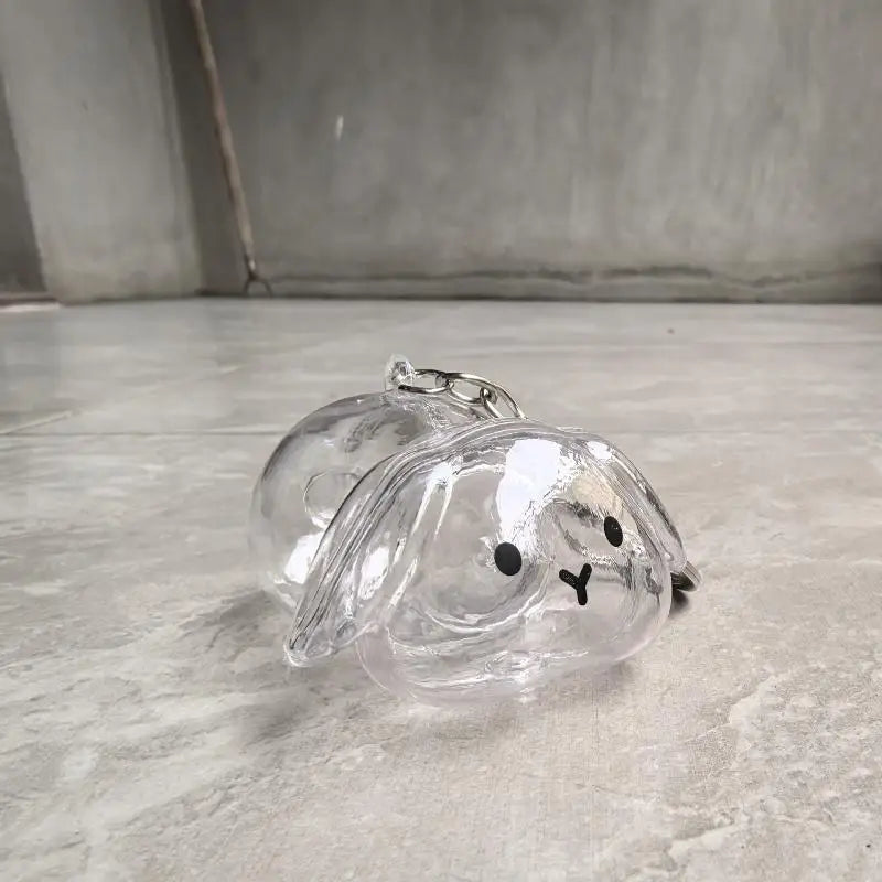 Pet Hair Memorial Transparent Storage Box Keyring | Cute Animal Rabbit Fur Organizer Keychain Bag Pendant