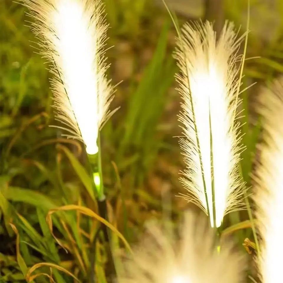 1PC LED Solar Powered Reed Lawn Lamp Outdoor Garden Stake Light,Ideal Decoration Landscape Lighting For Garden,Lawn,Yard,Pathway