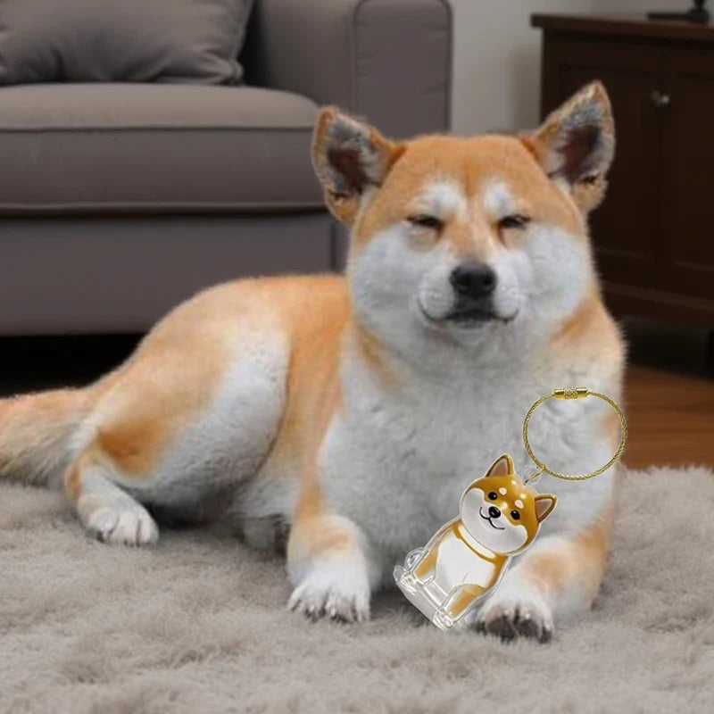 Pet Fur Keepsake Capsule Keychain | Clear Dog Hair Memorial Pendant for Pet Lovers