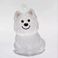 Clear Puppy Hair Memorial Keychain | Pet Fur Keepsake Capsule DIY Pendant